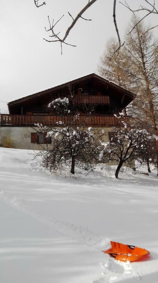 Bel Au Rez De Chaussee D'un Jarrier