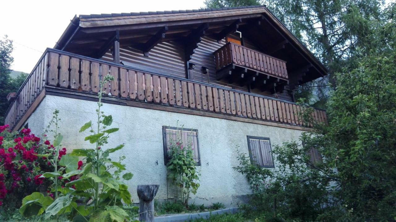Apartment Bel Au Rez De Chaussee D'un *