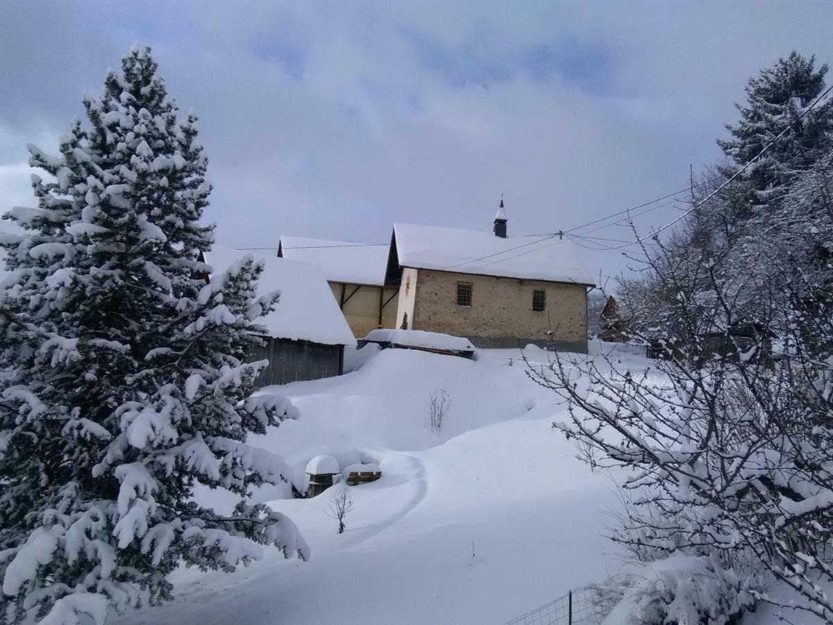 Bel Au Rez De Chaussee D'un Apartment Jarrier